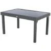 Table Piazza Extensible Verre Graphite 10 Personnes - Hespéride 2 Table Piazza Extensible Verre Graphite 10 Personnes - Hespéride -Promos Verde Rêverie Boutique 87949901 1